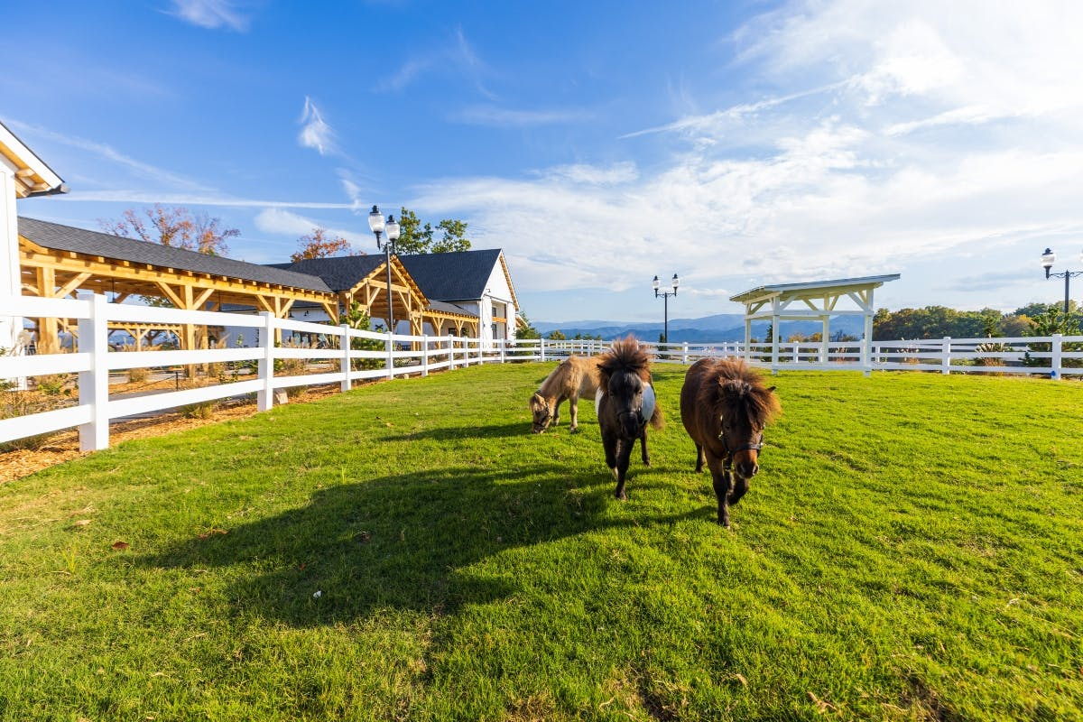 Skyland Ranch Tickets + Scenic Skyride Chairlift - Photo 1 of 17